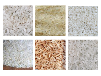 Premium Grains & Rice